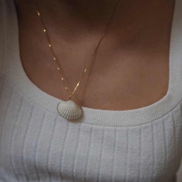 Seashell Pendant Necklace - Picture 1 of 2